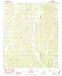 preview thumbnail of historical topo map of Newton County, MS in 1982