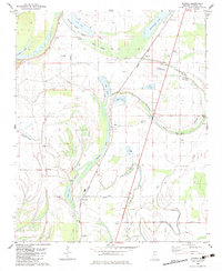preview thumbnail of historical topo map of Dundee, MS in 1982