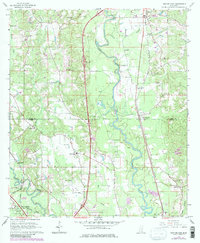 Download a high-resolution, GPS-compatible USGS topo map for Eastabuchie, MS (1982 edition)