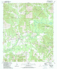 preview thumbnail of historical topo map of Neshoba County, MS in 1989