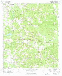 Download a high-resolution, GPS-compatible USGS topo map for Fair Oak Springs, MS (1974 edition)
