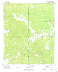 Download a high-resolution, GPS-compatible USGS topo map for Fearns Springs, MS (1975 edition)