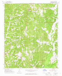 Download a high-resolution, GPS-compatible USGS topo map for Fulton SE, MS (1966 edition)