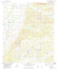 preview thumbnail of historical topo map of Carroll County, MS in 1982