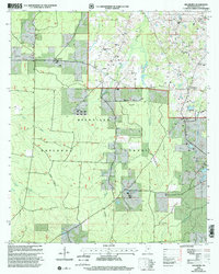 Download a high-resolution, GPS-compatible USGS topo map for Hillsboro, MS (2002 edition)