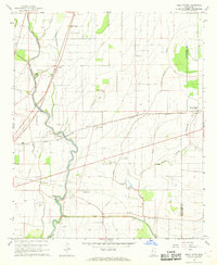 preview thumbnail of historical topo map of Washington County, MS in 1967