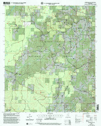 Download a high-resolution, GPS-compatible USGS topo map for Homewood, MS (2002 edition)