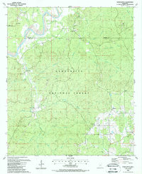 Download a high-resolution, GPS-compatible USGS topo map for Homochitto, MS (1988 edition)