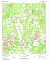 preview thumbnail of historical topo map of Rankin County, MS in 1980