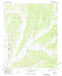 preview thumbnail of historical topo map of Union County, MS in 1982