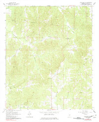 Download a high-resolution, GPS-compatible USGS topo map for Kosciusko NE, MS (1982 edition)