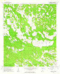 Download a high-resolution, GPS-compatible USGS topo map for Lauderdale NW, MS (1963 edition)