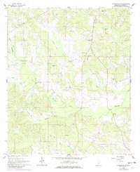 Download a high-resolution, GPS-compatible USGS topo map for Lauderdale NW, MS (1982 edition)