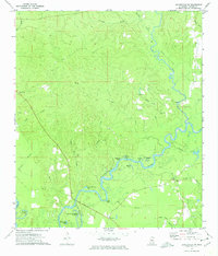 Download a high-resolution, GPS-compatible USGS topo map for Leakesville SW, MS (1975 edition)