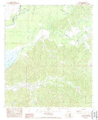 Download a high-resolution, GPS-compatible USGS topo map for Lessley, MS (1989 edition)