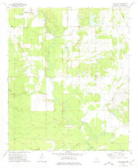 Download a high-resolution, GPS-compatible USGS topo map for Lynn Creek, MS (1975 edition)
