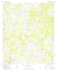 Download a high-resolution, GPS-compatible USGS topo map for Magee North, MS (1978 edition)