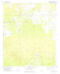 Download a high-resolution, GPS-compatible USGS topo map for Mashulaville, MS (1975 edition)