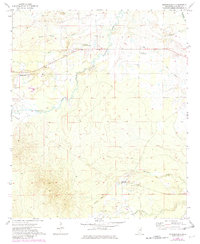 Download a high-resolution, GPS-compatible USGS topo map for Mashulaville, MS (1982 edition)