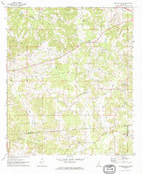 Download a high-resolution, GPS-compatible USGS topo map for Mendenhall SE, MS (1973 edition)