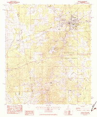1982 Map of Morton, MS, 1983 Print