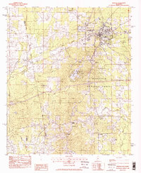 preview thumbnail of historical topo map of Morton, MS in 1982