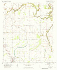 preview thumbnail of historical topo map of Mound Bayou, MS in 1966