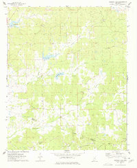 preview thumbnail of historical topo map of Carroll County, MS in 1975
