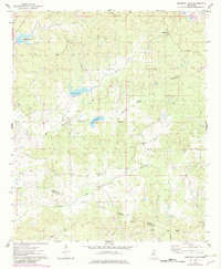 Download a high-resolution, GPS-compatible USGS topo map for Murdock Lake, MS (1982 edition)