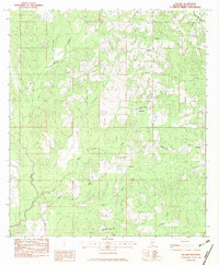 preview thumbnail of historical topo map of Hancock County, MS in 1982