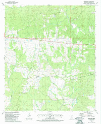 Download a high-resolution, GPS-compatible USGS topo map for Newtonia, MS (1988 edition)