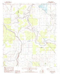 preview thumbnail of historical topo map of Issaquena County, MS in 1988