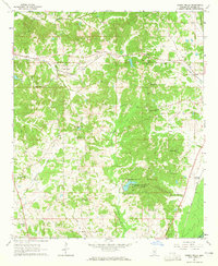 Download a high-resolution, GPS-compatible USGS topo map for Owens Wells, MS (1965 edition)