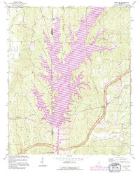 preview thumbnail of historical topo map of Tishomingo County, MS in 1992