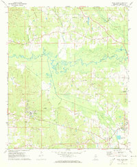 Download a high-resolution, GPS-compatible USGS topo map for Pearl River, MS (1973 edition)