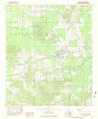 preview thumbnail of historical topo map of Pelahatchie, MS in 1982