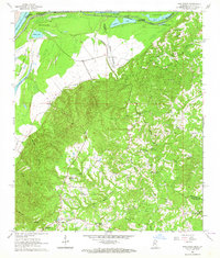 preview thumbnail of historical topo map of Adams County, MS in 1963