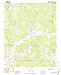 Download a high-resolution, GPS-compatible USGS topo map for Pine Valley, MS (1983 edition)