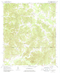 Download a high-resolution, GPS-compatible USGS topo map for Poplar Creek, MS (1986 edition)