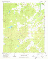Download a high-resolution, GPS-compatible USGS topo map for Puskus Lake, MS (1981 edition)