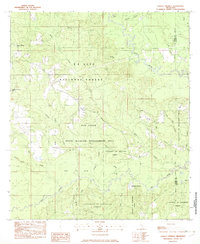 Download a high-resolution, GPS-compatible USGS topo map for Ramsey Springs, MS (1982 edition)