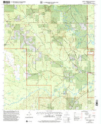 Download a high-resolution, GPS-compatible USGS topo map for Ramsey Springs, MS (2002 edition)