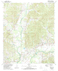 preview thumbnail of historical topo map of Leake County, MS in 1989