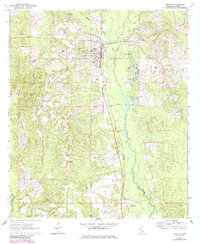 Download a high-resolution, GPS-compatible USGS topo map for Richton, MS (1985 edition)