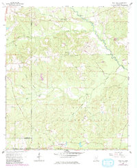 Download a high-resolution, GPS-compatible USGS topo map for Rock Hill, MS (1982 edition)