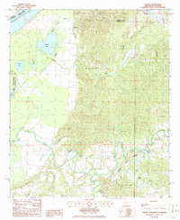 Download a high-resolution, GPS-compatible USGS topo map for Rodney, MS (1986 edition)
