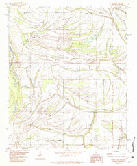 preview thumbnail of historical topo map of Bolivar County, MS in 1982