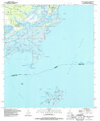 Download a high-resolution, GPS-compatible USGS topo map for Saint Joe Pass, MS (1995 edition)
