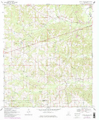 Download a high-resolution, GPS-compatible USGS topo map for Sandy Hook NW, MS (1982 edition)