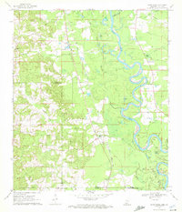 Download a high-resolution, GPS-compatible USGS topo map for Sandy Hook, MS (1972 edition)